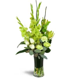 In the Limelight™. An arrangement by Avenue Flowers and Gifts. In the Limelight™. An arrangement by Avenue Flowers and Gifts.