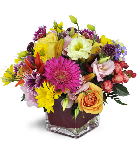 Festival of Blooms™. An arrangement by Avenue Flowers and Gifts. Roses, Gerbera daisies, lilies, spray roses, lisianthus, and more are...