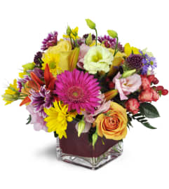 Festival of Blooms™. An arrangement by Avenue Flowers and Gifts. Festival of Blooms™. An arrangement by Avenue Flowers and Gifts.