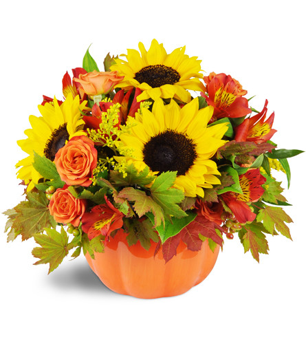 Harvest Bounty™. An arrangement by Avenue Flowers and Gifts. Sunflowers, spray roses, alstroemeria, solidago, vine maple, and viburnum berries are...