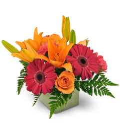 Warming Embrace. An arrangement by Avenue Flowers and Gifts.