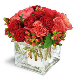 Love In Vogue™. An arrangement by Avenue Flowers and Gifts.