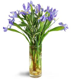 Truly Tranquil™. An arrangement by Avenue Flowers and Gifts. Truly Tranquil™. An arrangement by Avenue Flowers and Gifts.