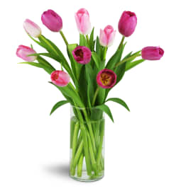 Perfect Pink Tulips™. An arrangement by Avenue Flowers and Gifts.