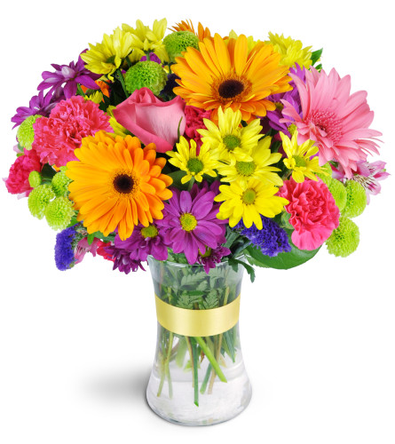 Radiant Rainbow™ - Deluxe. An arrangement by Avenue Flowers and Gifts. Daisies, alstroemeria, carnations, and more are arranged in every shade of...