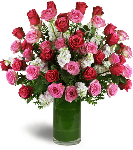 Opulent Roses™. An arrangement by Avenue Flowers and Gifts. A stunning gathering of roses and stock explodes with bright pink and fuchsia blooms..