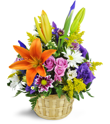 Ode to Springtime Basket™ - Deluxe. An arrangement by Avenue Flowers and Gifts. Send them lavender spray roses, daisies, and more in a natural...