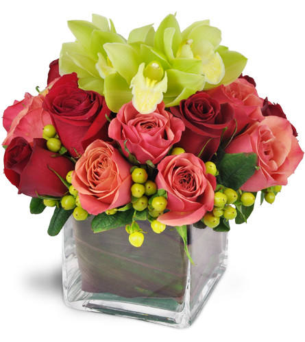 Sweet Reverie™. An arrangement by Avenue Flowers and Gifts. Decadent green Cymbidium orchids are arranged with coral and red roses and green...