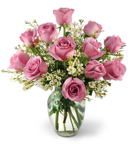 Dozen Lavender Roses. An arrangement by Avenue Flowers and Gifts. One dozen lavender roses are expertly arranged with delicate waxflower in a...