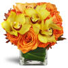 Golden Morning™ - Premium. An arrangement by Avenue Flowers and Gifts. Yellow cymbidium orchids and large orange rose blooms are arranged in an...