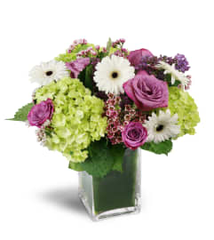 Sparking Joy™. An arrangement by Avenue Flowers and Gifts.