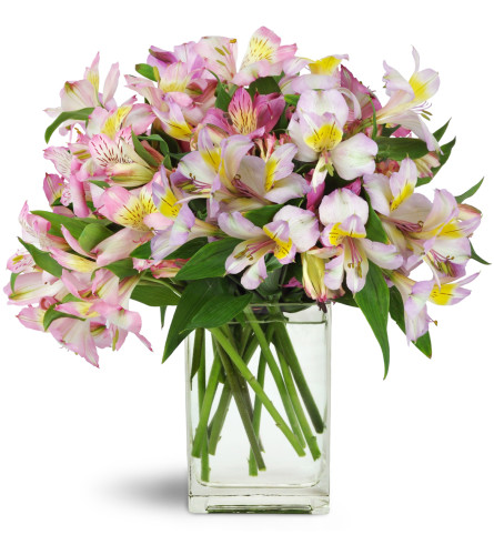 Lively Lilies™ - Deluxe. An arrangement by Avenue Flowers and Gifts. Classic pink and mauve alstroemeria are artistically arranged by hand and...