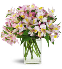Lively Lilies™. An arrangement by Avenue Flowers and Gifts. Lively Lilies™. An arrangement by Avenue Flowers and Gifts.