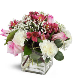 Blushing Blessings Cube™. An arrangement by Avenue Flowers and Gifts.