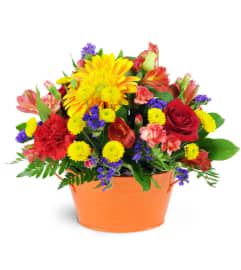 Vibrant Garden. An arrangement by Avenue Flowers and Gifts. Vibrant Garden. An arrangement by Avenue Flowers and Gifts.