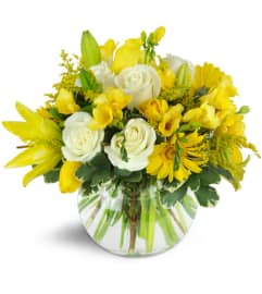 Lucky Stars™. An arrangement by Avenue Flowers and Gifts. Lucky Stars™. An arrangement by Avenue Flowers and Gifts.
