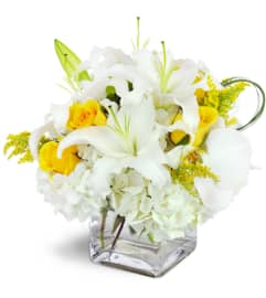 Glowing Elegance™. An arrangement by Avenue Flowers and Gifts. Glowing Elegance™. An arrangement by Avenue Flowers and Gifts.