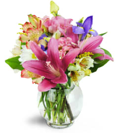 Sweet Symphony™. An arrangement by Avenue Flowers and Gifts. Sweet Symphony™. An arrangement by Avenue Flowers and Gifts.