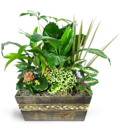 Garden of Memories. An arrangement by Avenue Flowers and Gifts.