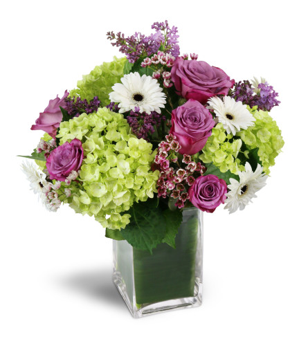 Sparking Joy™ - Deluxe. An arrangement by Avenue Flowers and Gifts. Green hydrangea, lavender roses, mini gerbera daisies, and more are sweetly...