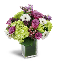 Sparking Joy™. An arrangement by Avenue Flowers and Gifts.