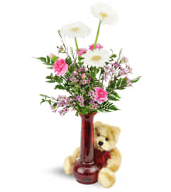 Darling Daisies™ with Plush Bear. An arrangement by Avenue Flowers and Gifts.