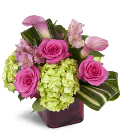Peek of Chic™. An arrangement by Avenue Flowers and Gifts. Peek of Chic™. An arrangement by Avenue Flowers and Gifts.