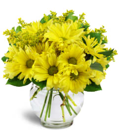 Daisy Dreams™. An arrangement by Avenue Flowers and Gifts. Daisy Dreams™. An arrangement by Avenue Flowers and Gifts.
