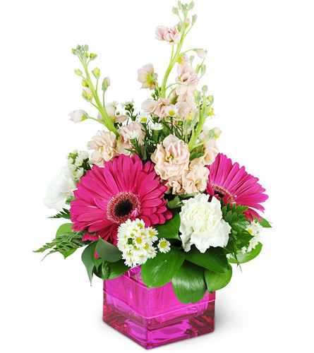 Sweet and Spicy!. An arrangement by Avenue Flowers and Gifts. Fuchsia Gerbera daisies, carnations, stocks, asters, and more are artfully arranged...