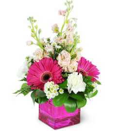 Sweet and Spicy!. An arrangement by Avenue Flowers and Gifts. Sweet and Spicy!. An arrangement by Avenue Flowers and Gifts.