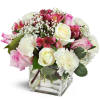 Blushing Blessings Cube™ - Deluxe. An arrangement by Avenue Flowers and Gifts. Handcrafted with pink roses, pink Peruvian lilies, and white...