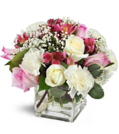 Blushing Blessings Cube™. An arrangement by Avenue Flowers and Gifts. Blushing Blessings Cube™. An arrangement by Avenue Flowers and Gifts.