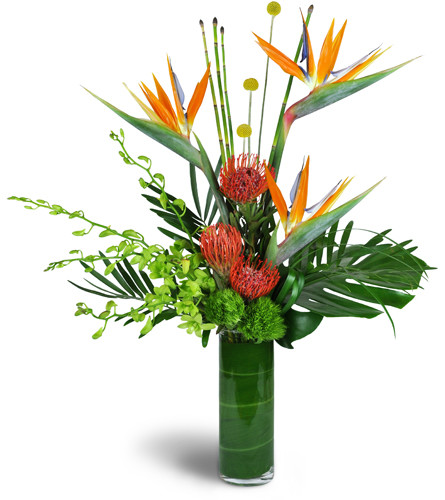Paradise Flight™. An arrangement by Avenue Flowers and Gifts. Transport them with birds of paradise, Dendrobium orchids, pincushion protea, and more..