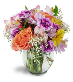 Cute as a Button!™. An arrangement by Avenue Flowers and Gifts. Cute as a Button!™. An arrangement by Avenue Flowers and Gifts.