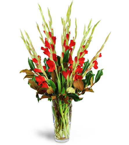Sophisticated Splendor™. An arrangement by Avenue Flowers and Gifts. Surprise them with more than a dozen stems of gladiolus artfully arranged...