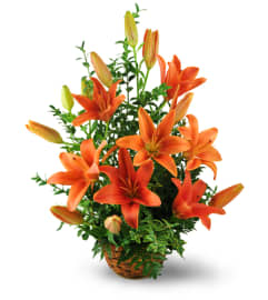 Asiatic Lily Basket. An arrangement by Avenue Flowers and Gifts.