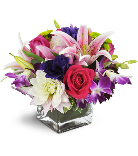 She's a Jewel™. An arrangement by Avenue Flowers and Gifts. Abundant roses, lilies, dahlias, orchids, and more are arranged in a modern glass vase..