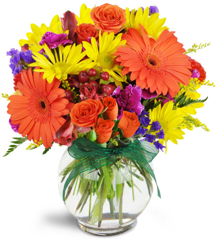 Sunglow Blooms™ - Deluxe. An arrangement by Avenue Flowers and Gifts. Gerbera daisies, miniature carnations, and spray roses are arranged in this...