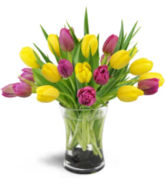 Springtime Duet™. An arrangement by Avenue Flowers and Gifts.