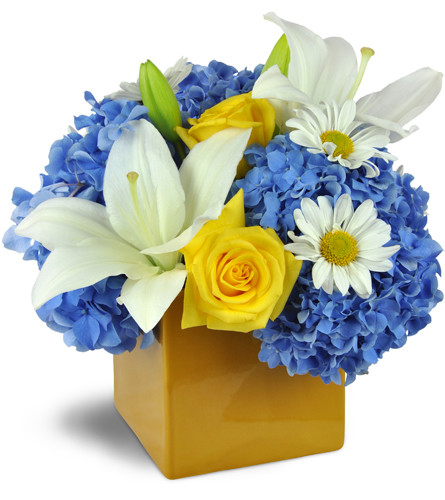 Summer Celebration Cube™. An arrangement by Avenue Flowers and Gifts. Happiness is bright blue hydrangeas, yellow roses, white lilies, and...