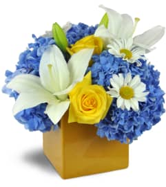 Summer Celebration Cube™. An arrangement by Avenue Flowers and Gifts. Summer Celebration Cube™. An arrangement by Avenue Flowers and Gifts.