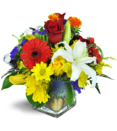 We're Walking on Sunshine. An arrangement by Avenue Flowers and Gifts. We're Walking on Sunshine. An arrangement by Avenue Flowers and Gifts.