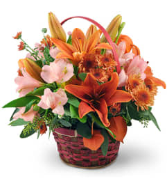 Sunset Basket. An arrangement by Avenue Flowers and Gifts. Sunset Basket. An arrangement by Avenue Flowers and Gifts.