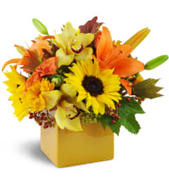 Sunshine Surprise™. An arrangement by Avenue Flowers and Gifts. Sunshine Surprise™. An arrangement by Avenue Flowers and Gifts.
