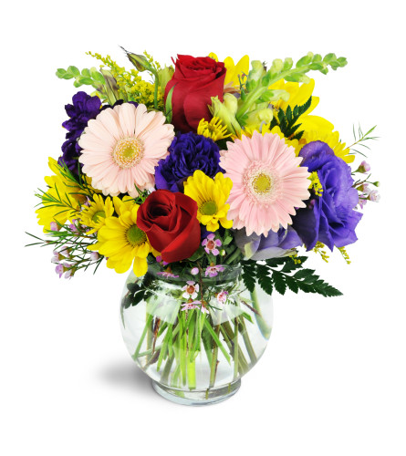 A Touch of Bliss™ - Deluxe. An arrangement by Avenue Flowers and Gifts. Bursting with fresh daisies, Gerbera daisies, alstroemeria, and more,...