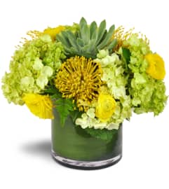 Succulent Sunray Bouquet™. An arrangement by Avenue Flowers and Gifts. Succulent Sunray Bouquet™. An arrangement by Avenue Flowers and Gifts.