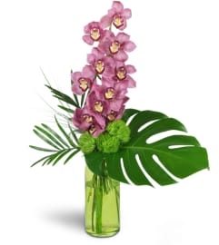Blushing Grace Orchids™. An arrangement by Avenue Flowers and Gifts.