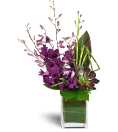 Orchid Jewels™. An arrangement by Avenue Flowers and Gifts.