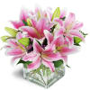 Pink Delight™ - Premium. An arrangement by Avenue Flowers and Gifts. Featuring stunning pink Stargazer lilies arranged with pink waxflower..