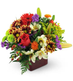 Good Old Summertime™. An arrangement by Avenue Flowers and Gifts. Good Old Summertime™. An arrangement by Avenue Flowers and Gifts.